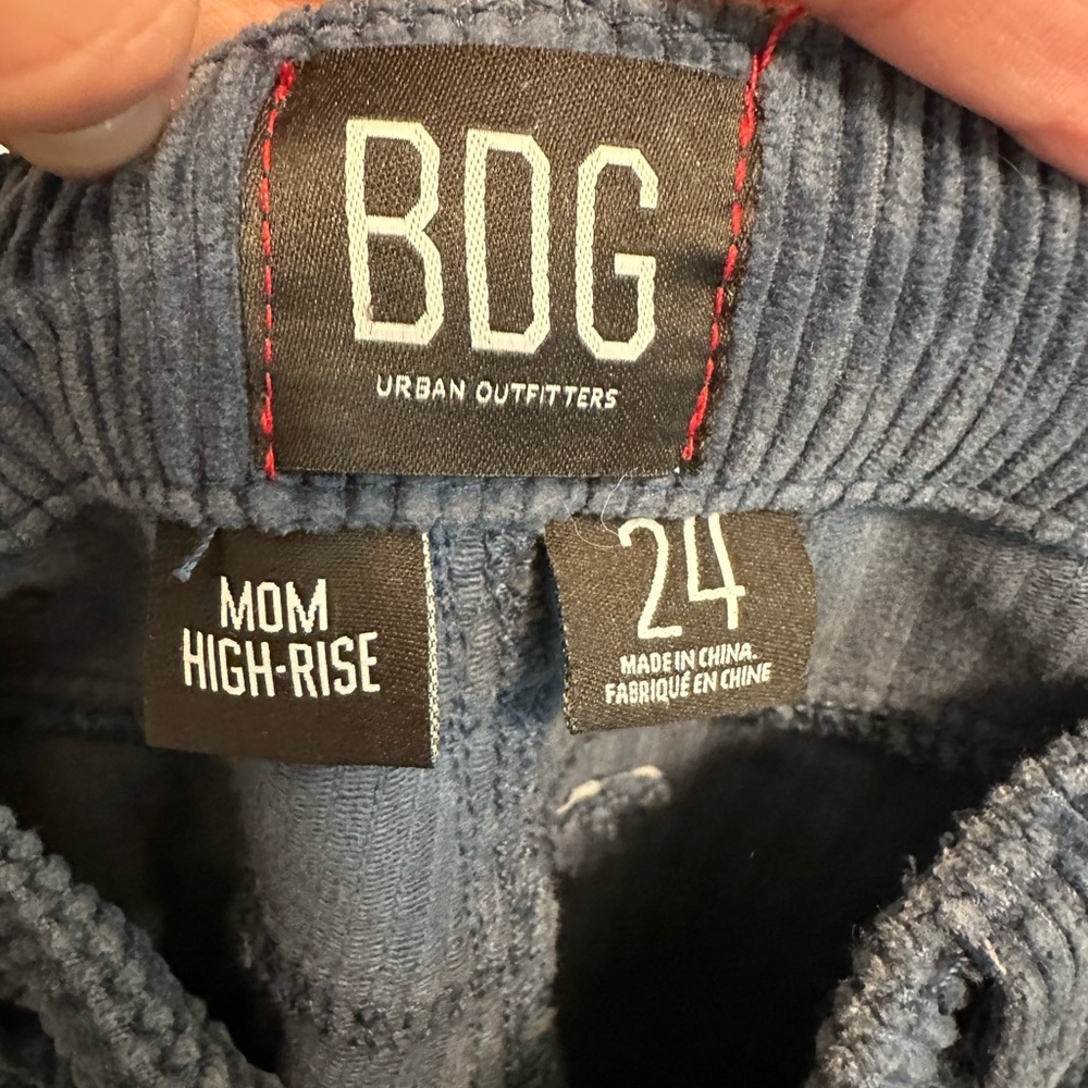 BDG Blue Corduroy Pants